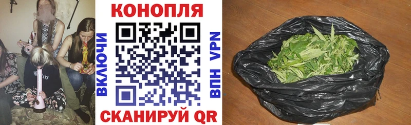 Купить закладки  Сим  Бошки Шишки сатива 